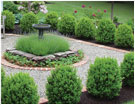 French Gardens Landscape Design Project - Woolley